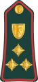 Brigadier general (Gambian National Army)