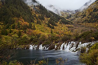 四川九寨溝風景名勝區于1992年被联合国教科文组织列為世界遺產[809]。图为九寨沟的卧龙海