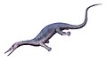 Askeptosaurus italicus