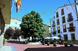 Paisaje urbano con detalle del castaño de indias (Aesculus hippocastanum) en la plaza Mayor