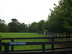Celtic Swing in retirement at the Irish National Stud in 2004