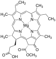 Chlorophyllide a