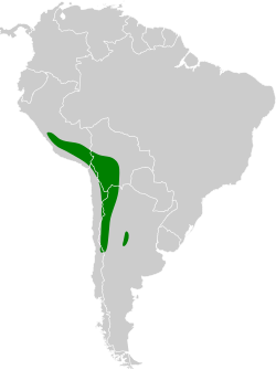 Distribución geográfica de la remolinera castaña.