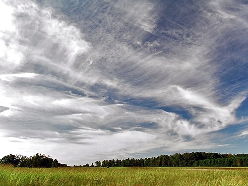 Cirrus clouds are composed of ice crystals and shaped like hairlike filaments. They are formed at an altitudes above 5000 metres (16,500 feet). The streaks are made of snowflakes that are falling from the cloud and being caught by the high level winds. The streaks point in the direction of the wind and may appear straight giving the clouds the appearance of a comma (cirrus uncinus), or may by seem tangled, an indication of high level turbulence. (Credit: Piccolo Namek.)