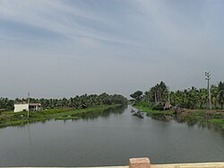 Godavari canal near Katrenikona