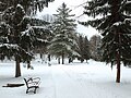 Le parc la veille de Noël 2007