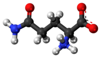 Ball-and-stick model of the L-isomer as a zwitterion