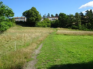 Mölnaängen åt öster med Östra Mölna radhusområde i bakgrunden.