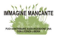 Immagine di Sphagnum affine mancante