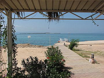 Beach View