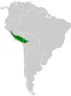 Distribución geográfica de la dormilona gigante.