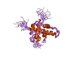 Структура HIF-1α.[13]