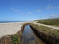 Regueiro na praia de Razo.