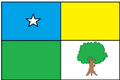 Bandeira de Santa Maria do Cambucá