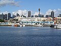 Sydney Fish Market view from Glebe, NSW