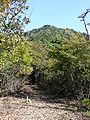 Mount Tashiro from the San-no-maru