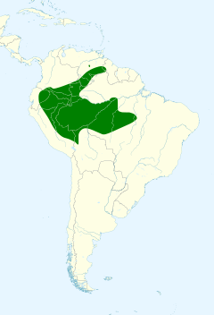 Distribuição do caraxué-de-bico-amarelo