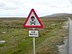 Falkland Islands: slow, landmines.