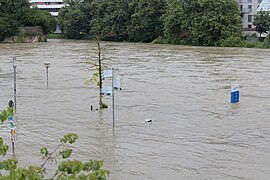 Hochwasser der Donau am 1. Juni 2024 in Ulm und Neu-Ulm (Artikelbild)