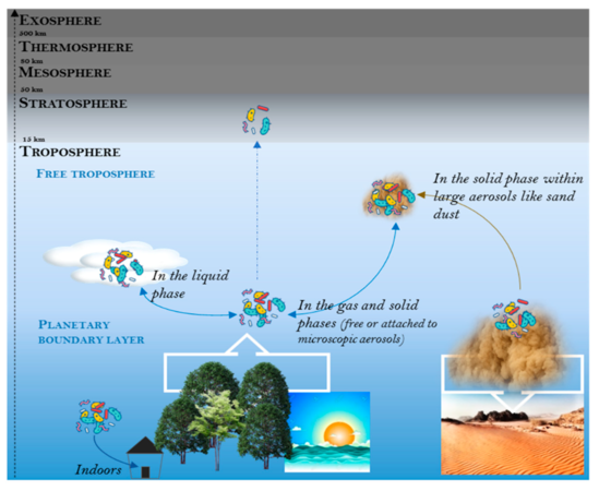 Biological habitats (niches) in aeromicrobiology