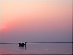 যমুনা নদীতে অপরূপ নৌকার দৃশ্য