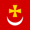 Flag of Borzna