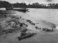Japanese soldiers killed during the final phase of the battle at Buna Station, January 1943. The large number of dead Japanese and Allied bodies on the beach led the Allies to nickname it "Maggot Beach".[433][434]