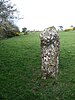 A standing stone in a field