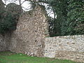 Vestiges d'un des murs d'enceinte