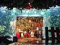 Rainforest Cafe at Disney's Animal Kingdom in Orlando Florida.