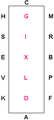 Picture showing the letter layout of a dressage arena,