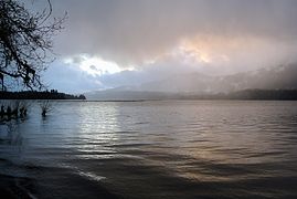 Lake Quinault