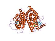 1fm9: THE 2.1 ANGSTROM RESOLUTION CRYSTAL STRUCTURE OF THE HETERODIMER OF THE HUMAN RXRALPHA AND PPARGAMMA LIGAND BINDING DOMAINS RESPECTIVELY BOUND WITH 9-CIS RETINOIC ACID AND GI262570 AND CO-ACTIVATOR PEPTIDES.