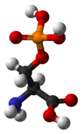 Ball-and-stick model