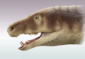 Riojasuchus