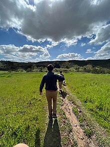 Photo of man in green field