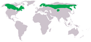 Aire de répartition de l'Épervière boréale