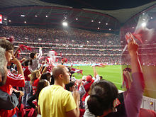 Men and women, including children, wave their scarves on a side stand close to the pitch.