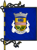 Bandeira de Golpilheira