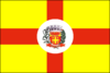 Flag of Saltinho