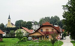 Bizovik