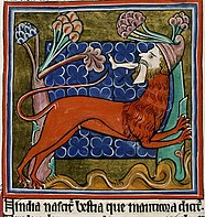 Manticore in Bodleian Library MS 764