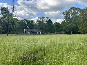 Vue partielle des vestiges en fond de parcelle.