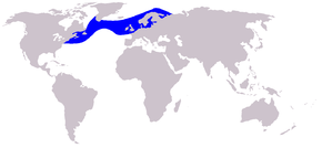 Description de l'image Cetacea_range_map_Atlantic_White-sided_Dolphin.PNG.