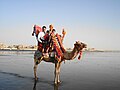 Camel rides along Clifton Beach are a popular activity