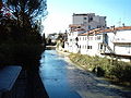 The river: Monticano