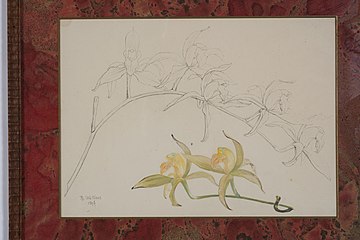 Design drawing of flower stems by Philippe Wolfers (1896)