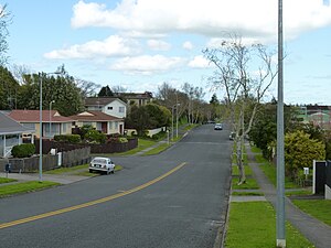 A neighbourhood in Fairview Downs, Hamilton.