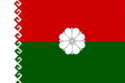 Flag of Paranginsky District