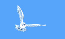 Description de l'image Flag of the Inuvialuit.png.